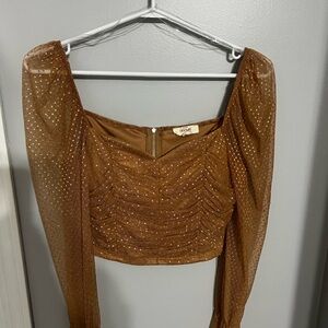 Chicwish Brown Mesh Long Sleeve Top